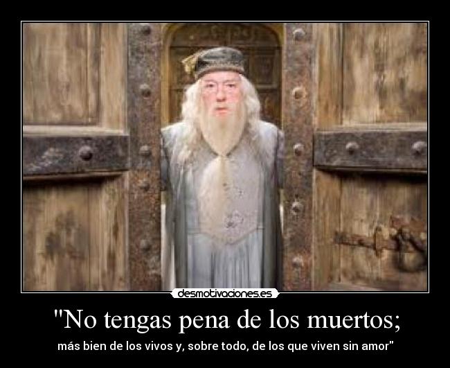 carteles frases albus dumbledore desmotivaciones