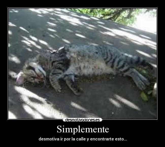 Simplemente - 