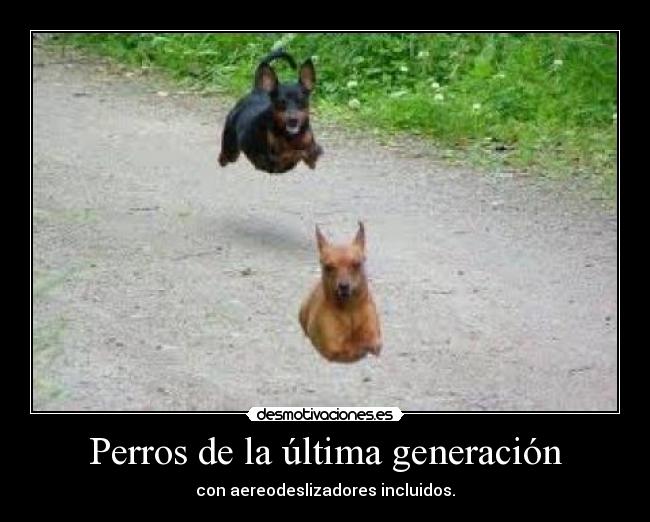 Perros de la última generación - con aereodeslizadores incluidos.