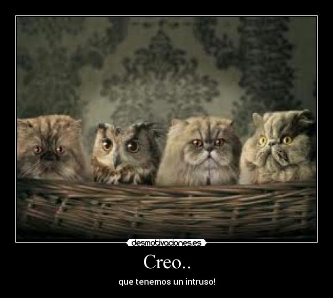 Creo.. - que tenemos un intruso!