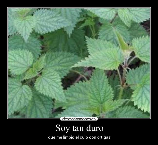 carteles frf desmotivaciones