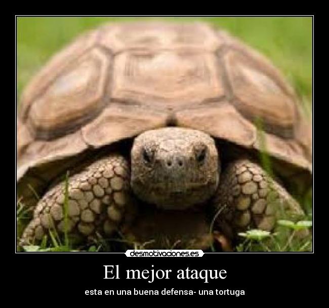 El mejor ataque - esta en una buena defensa- una tortuga