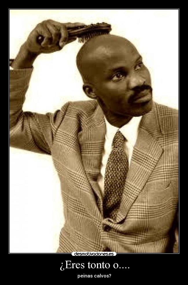 ¿Eres tonto o.... - peinas calvos?