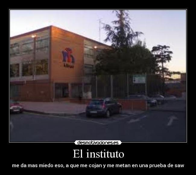 El instituto -
