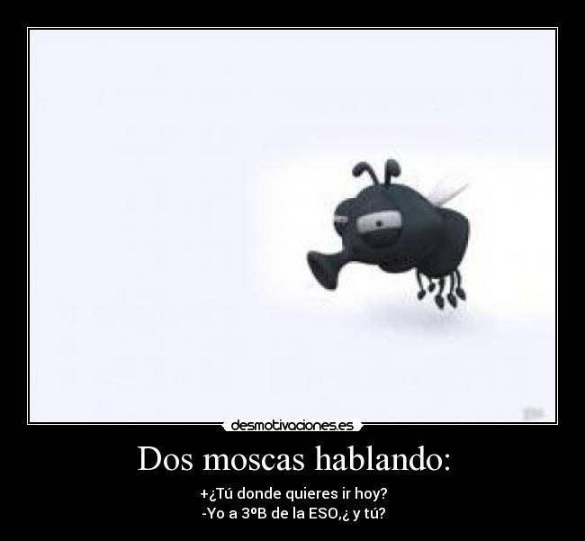 Dos moscas hablando: - +¿Tú donde quieres ir hoy?
-Yo a 3ºB de la ESO,¿ y tú?