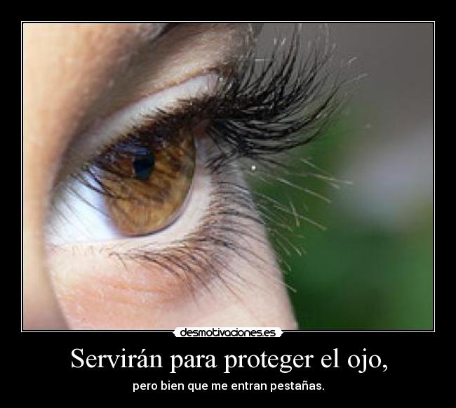 Servirán para proteger el ojo, - pero bien que me entran pestañas.