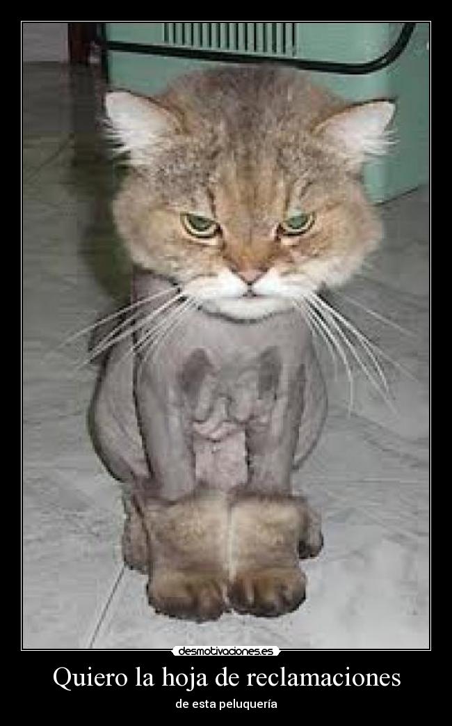 Quiero la hoja de reclamaciones - de esta peluquería
