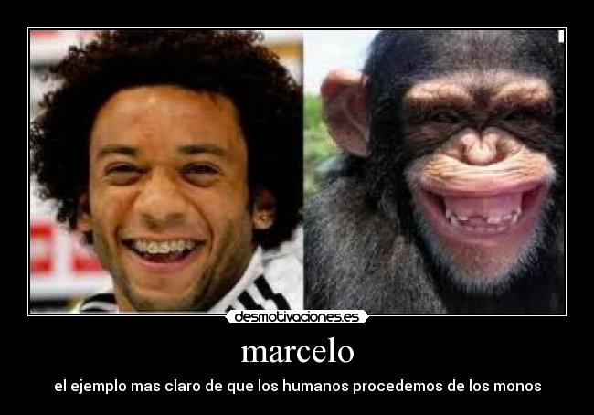 carteles marcelo desmotivaciones
