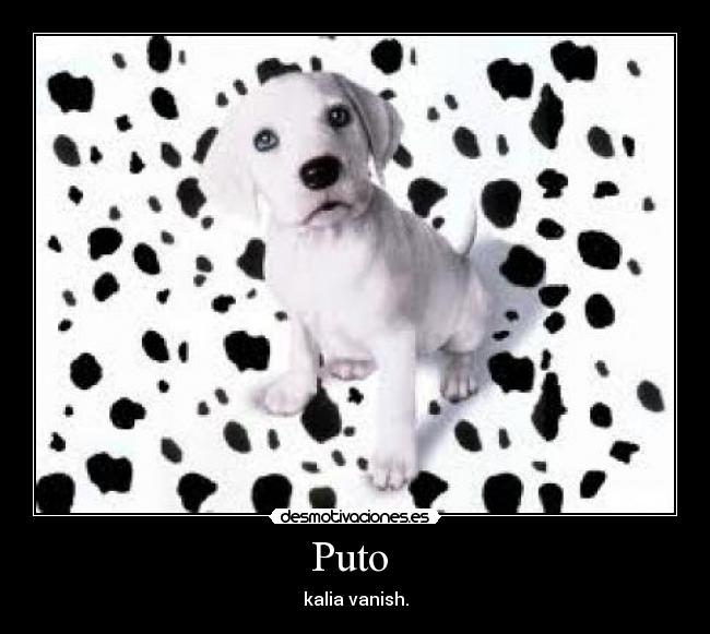 Puto  - 