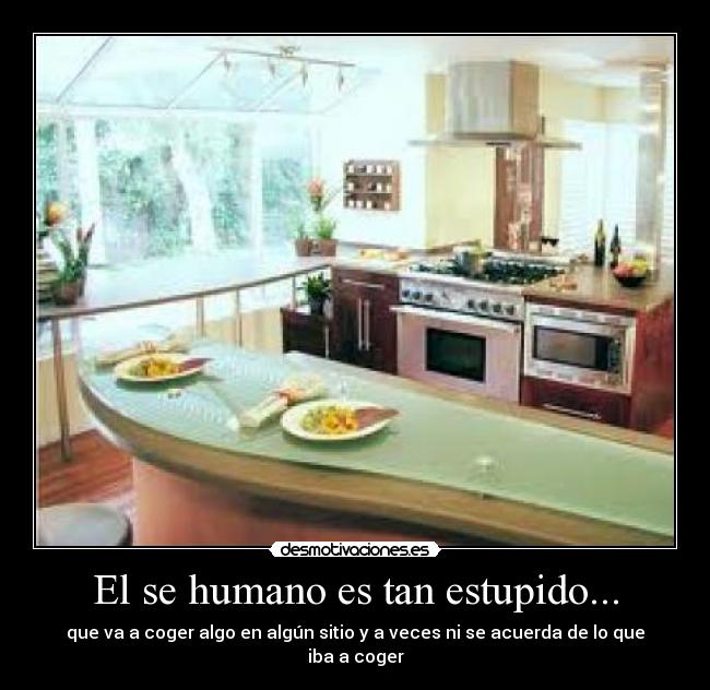 carteles gente subnormal suelta por planeta desmotivaciones