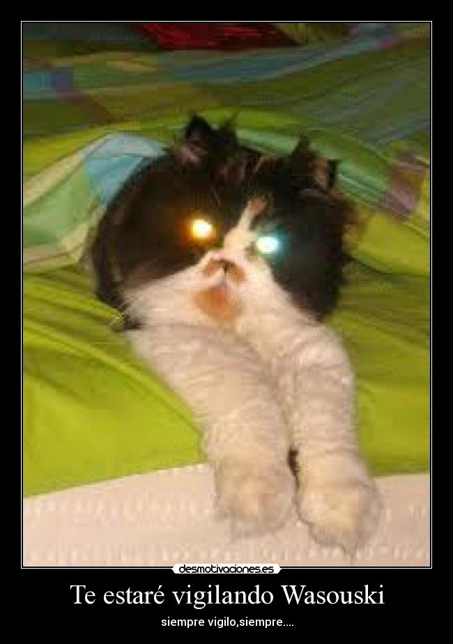 Te estaré vigilando Wasouski - siempre vigilo,siempre....