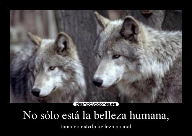 No sólo está la belleza humana, - también está la belleza animal.