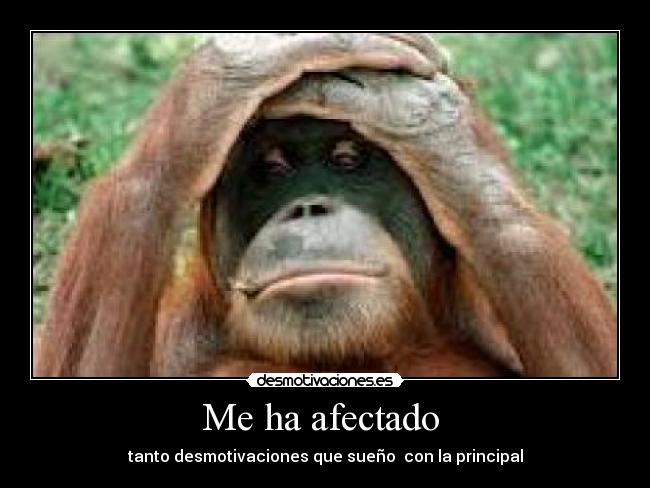 Me ha afectado - tanto desmotivaciones que sueño con la principal