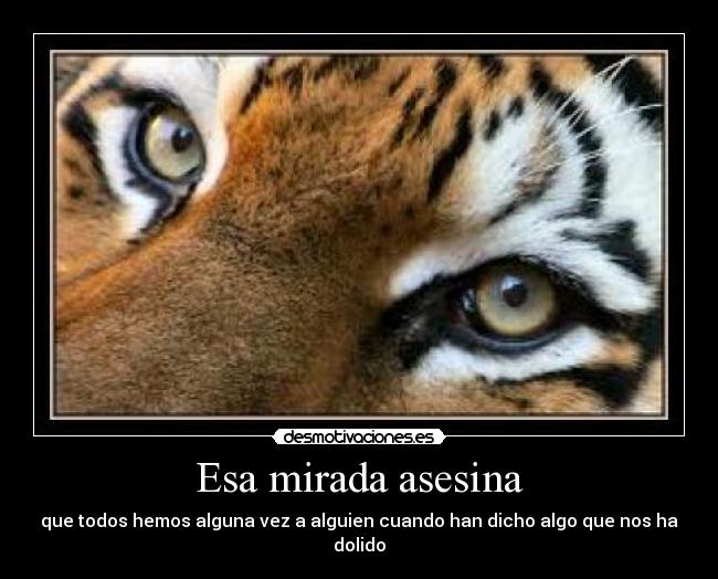 Esa mirada asesina -