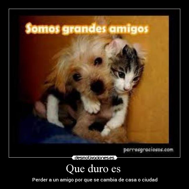 Que duro es  - 