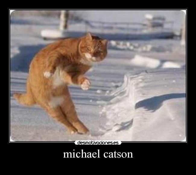 michael catson -