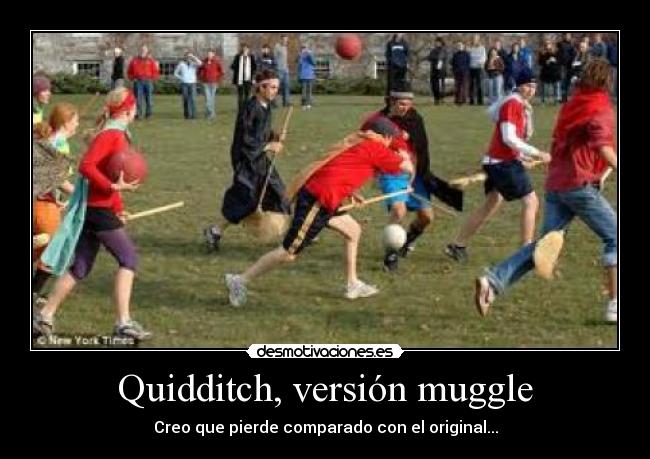 carteles muggles jugando quidditch con escobas incumpliendo norma estar segundos sin volar desmotivaciones