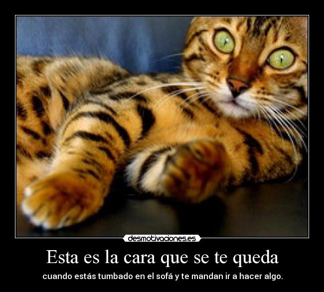 Esta es la cara que se te queda - cuando estás tumbado en el sofá y te mandan ir a hacer algo.