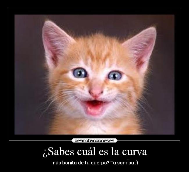 ¿Sabes cuál es la curva - 