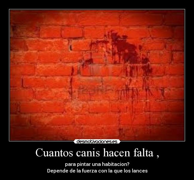 Cuantos canis hacen falta , - para pintar una habitacion?
Depende de la fuerza con la que los lances