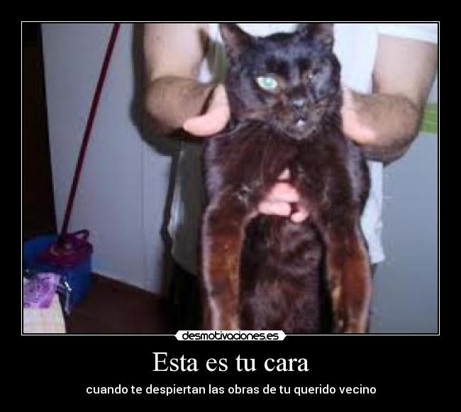 Esta es tu cara - cuando te despiertan las obras de tu querido vecino