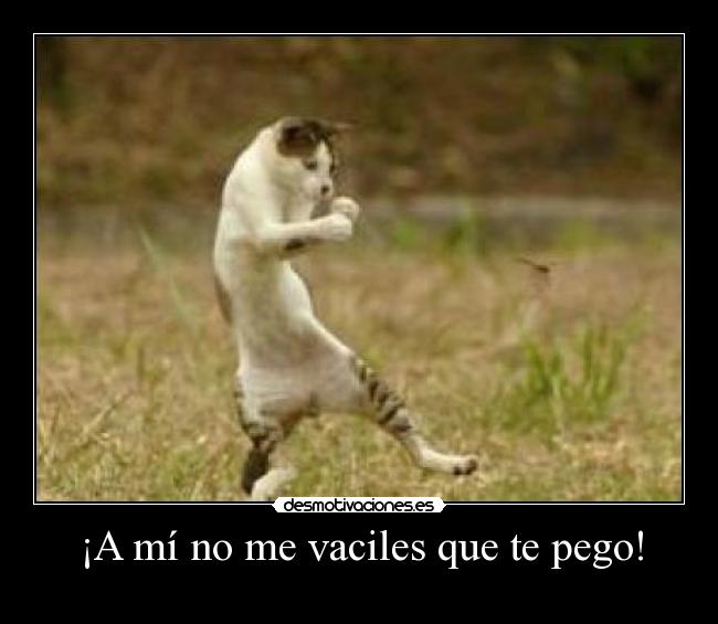 ¡A mí no me vaciles que te pego! -