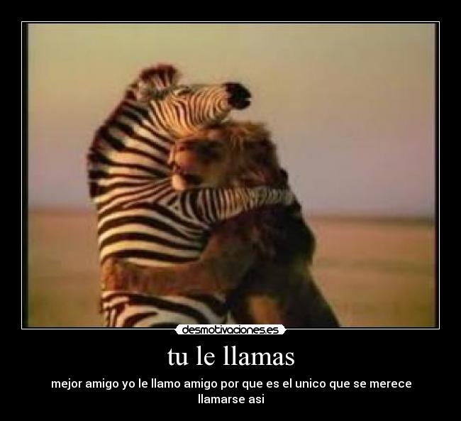 tu le llamas - mejor amigo yo le llamo amigo por que es el unico que se merece llamarse asi
