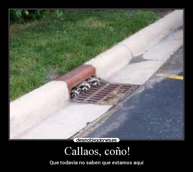 Callaos, coño! - Que todavía no saben que estamos aquí