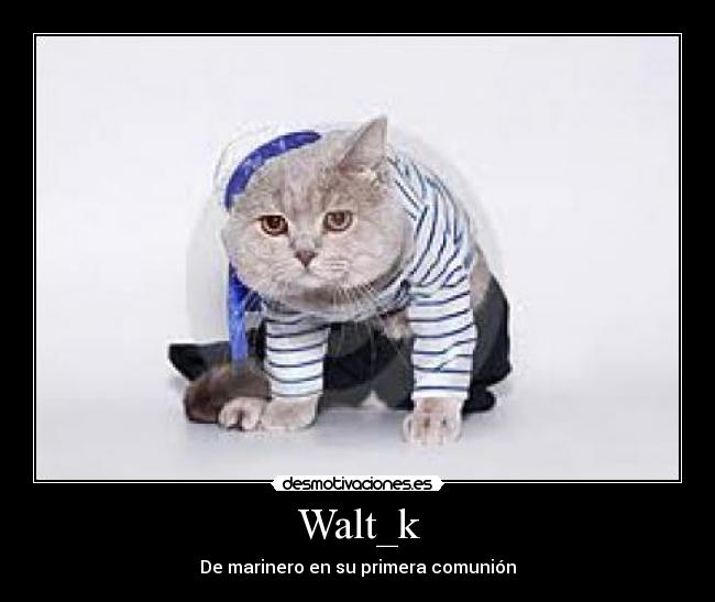 Walt_k - De marinero en su primera comunión