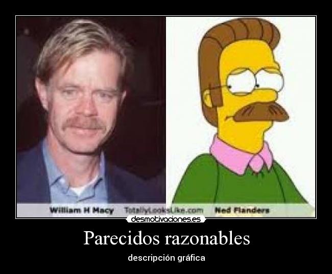 Parecidos razonables - descripción gráfica