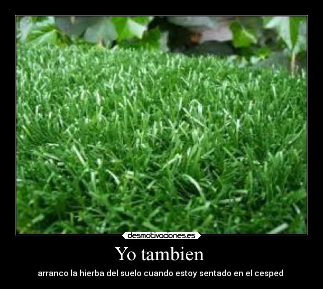 Yo tambien  - 