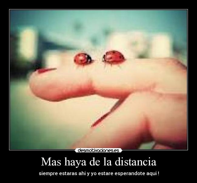 Mas haya de la distancia - 