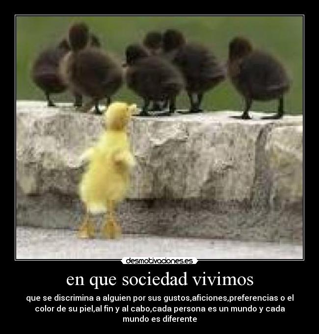 en que sociedad vivimos -