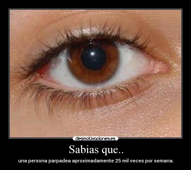 Sabias que.. - 
