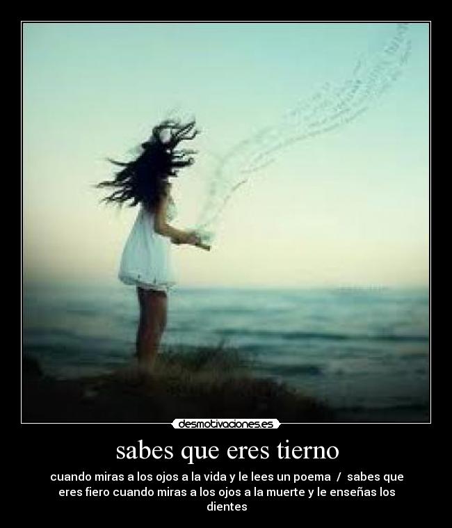 sabes que eres tierno - cuando miras a los ojos a la vida y le lees un poema  /  sabes que
eres fiero cuando miras a los ojos a la muerte y le enseñas los
dientes