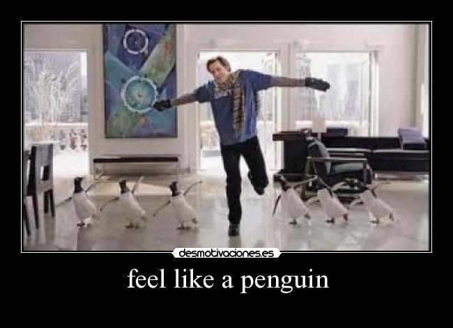 feel like a penguin - 