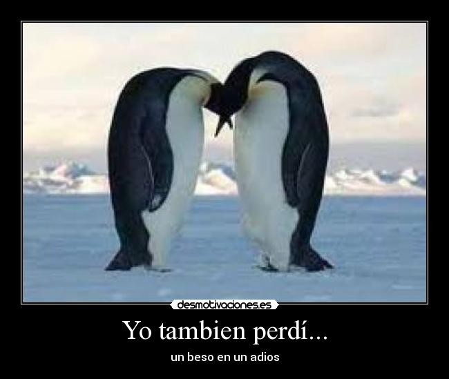 Yo tambien perdí... - 