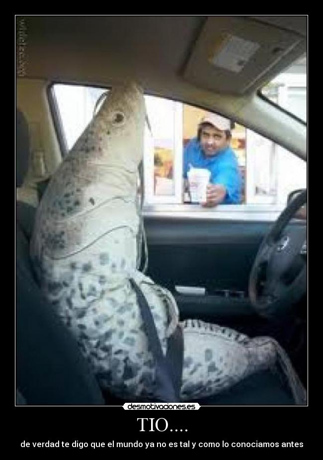 TIO.... - de verdad te digo que el mundo ya no es tal y como lo conociamos antes