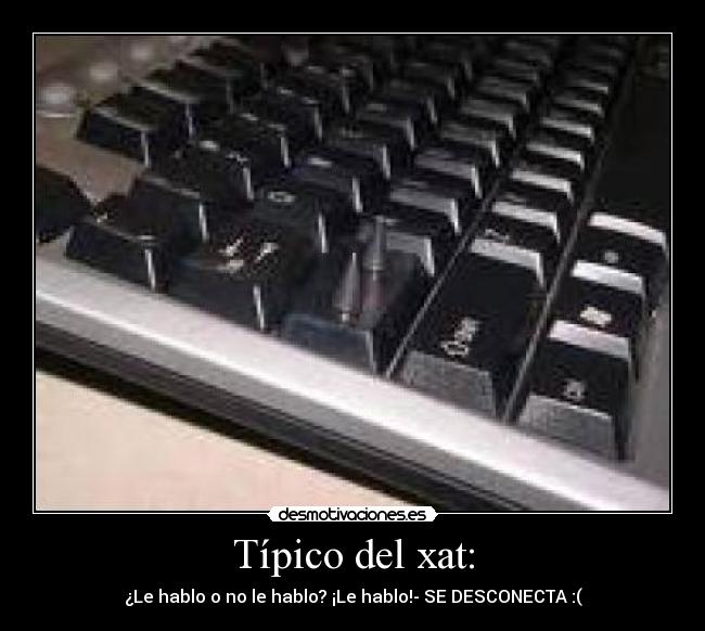 Típico del xat: - ¿Le hablo o no le hablo? ¡Le hablo!- SE DESCONECTA :(