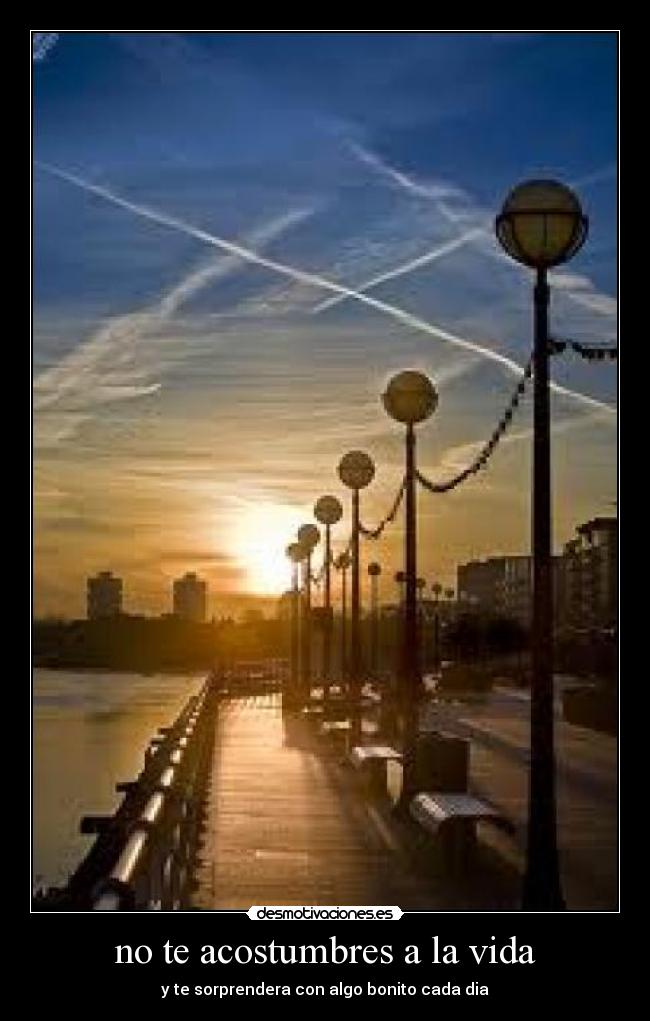 no te acostumbres a la vida - 