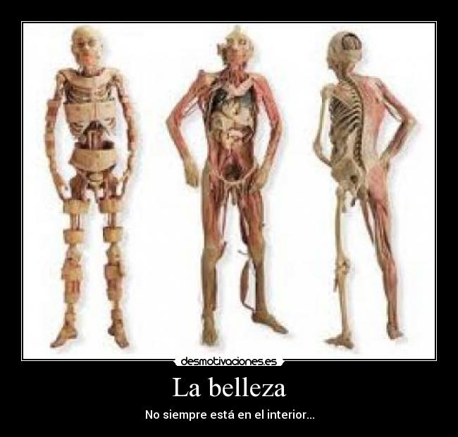 La belleza -