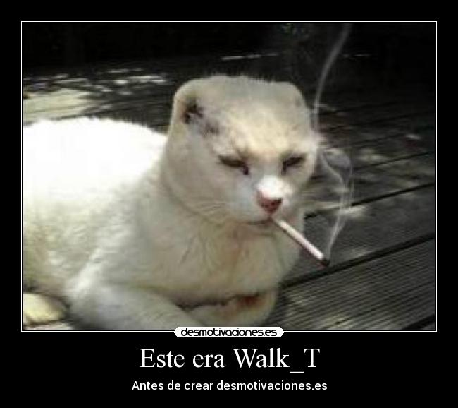 Este era Walk_T - Antes de crear desmotivaciones.es