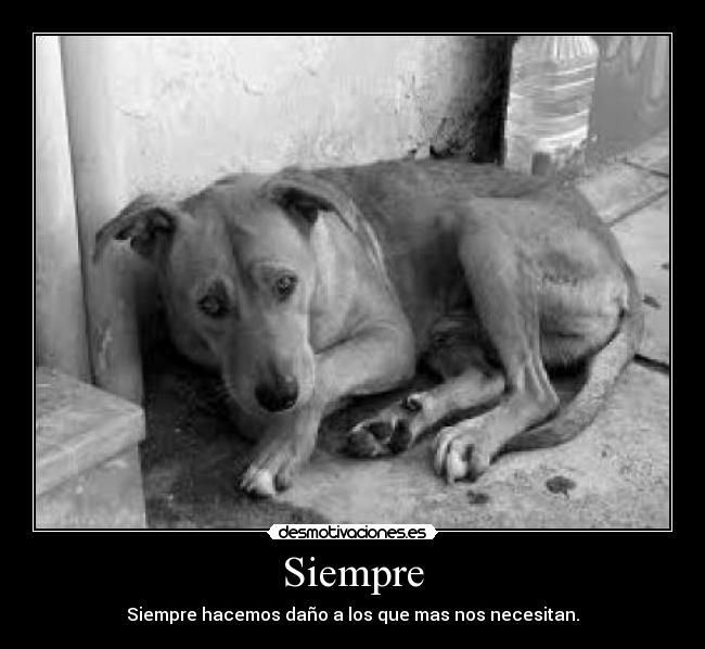 Siempre - Siempre hacemos daño a los que mas nos necesitan.