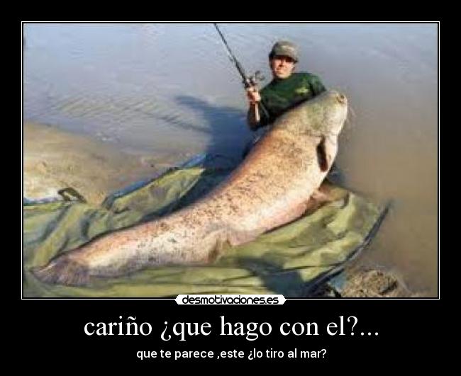 cariño ¿que hago con el?... -