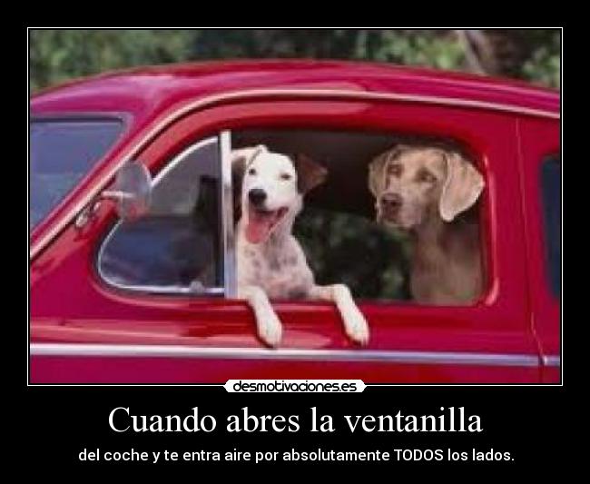 Cuando abres la ventanilla - del coche y te entra aire por absolutamente TODOS los lados.