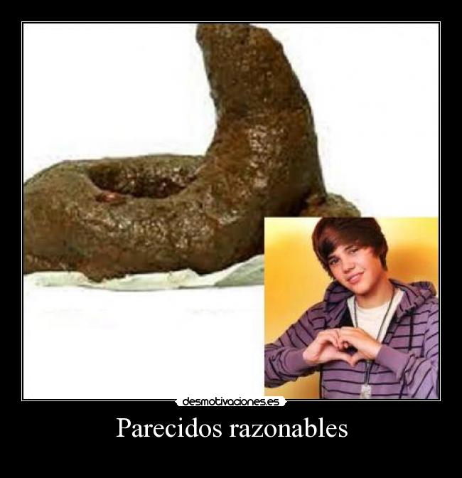 Parecidos razonables -