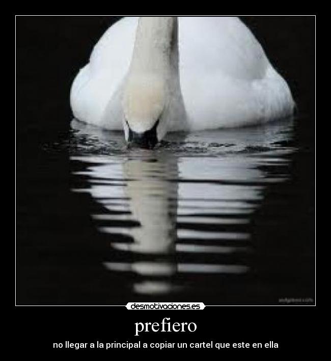 carteles wwwdesmotivacioneses desmotivaciones