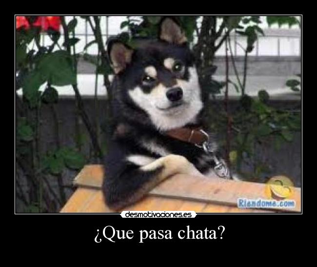 ¿Que pasa chata? - 