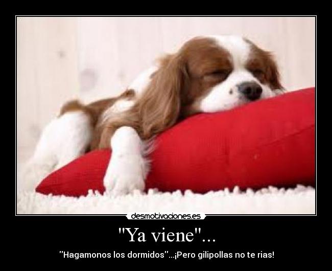 Ya viene... - Hagamonos los dormidos...¡Pero gilipollas no te rias!