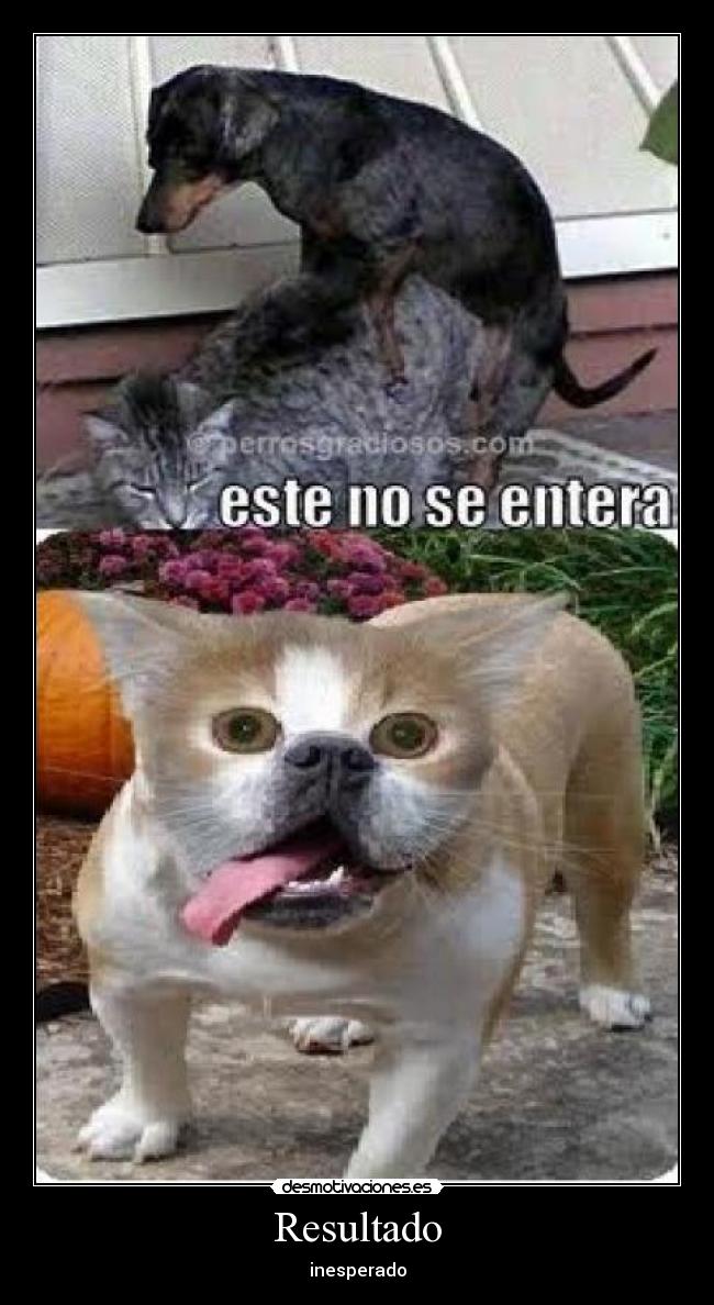 Resultado - inesperado